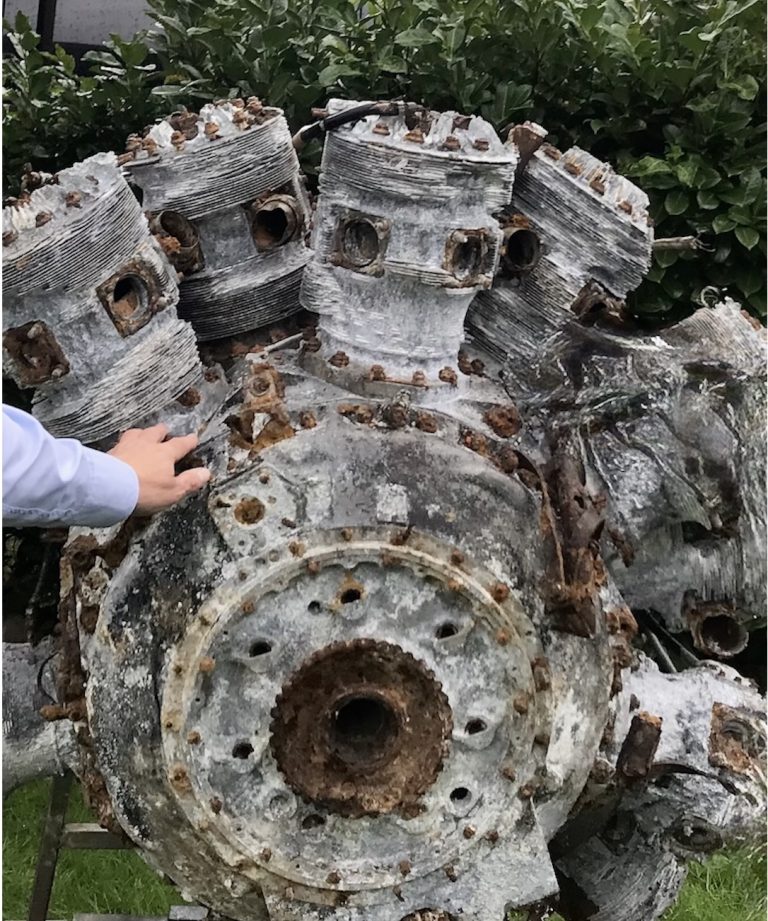 Der Sternmotor im Garten der Familie Baum